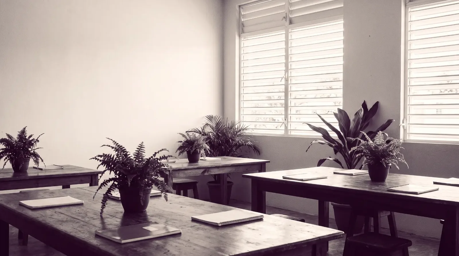 Duotone photograph of a bright Aruban classroom with wooden tables, notebooks and potted plants.